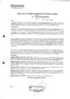 Vista preliminar de documento rgpet21002371