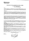 Vista preliminar de documento RGPEYT 2