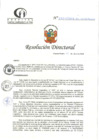 Vista preliminar de documento RD N°233-07-2024-DE-HCLLH-MINSA