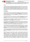 Vista preliminar de documento RG173