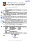 Vista preliminar de documento Resolución de Alcaldía N°029-2009-MPS/A