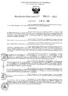 Vista preliminar de documento 6113