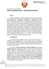 Vista preliminar de documento RD Nº D000104-2024-DE