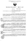Vista preliminar de documento 6126