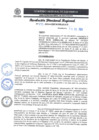 Vista preliminar de documento RDR 243-2024