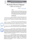 Vista preliminar de documento RDR 242-2024
