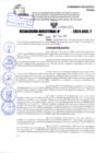 Vista preliminar de documento R.D 1251-2024