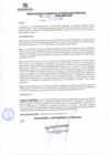 Vista preliminar de documento rgsp22011