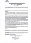 Vista preliminar de documento rgsp22253