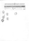 Vista preliminar de documento Anexo N° 017-2016-DV-PE