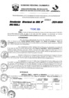 Vista preliminar de documento R-D N°000059