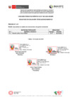 Vista preliminar de documento Resumen eval. técnica Proceso CAS 005 (Especialista en análisis de IGAs) - julio 2024[R][R][R]