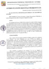 Vista preliminar de documento ACM-40-24