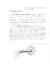 Vista preliminar de documento Prescripción adquisitiva de dominio vehicular placa N.° M2L799