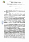Vista preliminar de documento GDE-226-2024