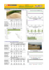 Vista preliminar de documento Boletín de abastecimiento y precio del ARROZ - 12/07/2024