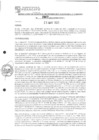 Vista preliminar de documento rgpet2101007