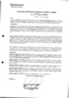 Vista preliminar de documento rgpet2101189