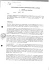 Vista preliminar de documento rgpet2102213
