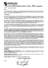 Vista preliminar de documento RGPEYT22-601