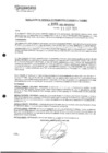 Vista preliminar de documento rgpet2102065