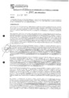 Vista preliminar de documento rgpet2102048
