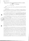 Vista preliminar de documento rgpet2102040