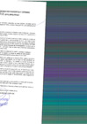 Vista preliminar de documento rgpet2102600