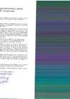 Vista preliminar de documento rgpet2102593