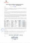 Vista preliminar de documento rgsp22087