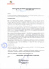 Vista preliminar de documento rgsp22089