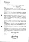 Vista preliminar de documento rgpet2102626