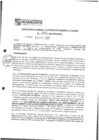 Vista preliminar de documento rgpet2103041