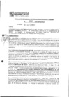 Vista preliminar de documento rgpet2103039
