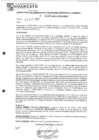 Vista preliminar de documento rgpet2103033