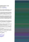 Vista preliminar de documento rgpet2103105