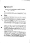 Vista preliminar de documento rgpet2103127