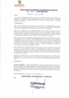 Vista preliminar de documento rgsp22269