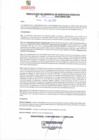 Vista preliminar de documento rgsp22271