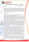 Vista preliminar de documento rgsp22278