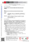 Vista preliminar de documento OFICIO MÚLTIPLE 325 – 2024