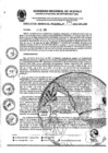 Vista preliminar de documento RGR0291-2024-GRI