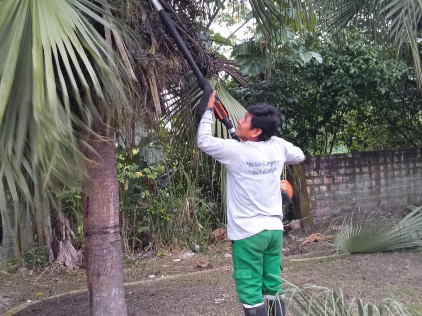 Limpieza de áreas verdes y poda de árboles en la Avenida Quiñones