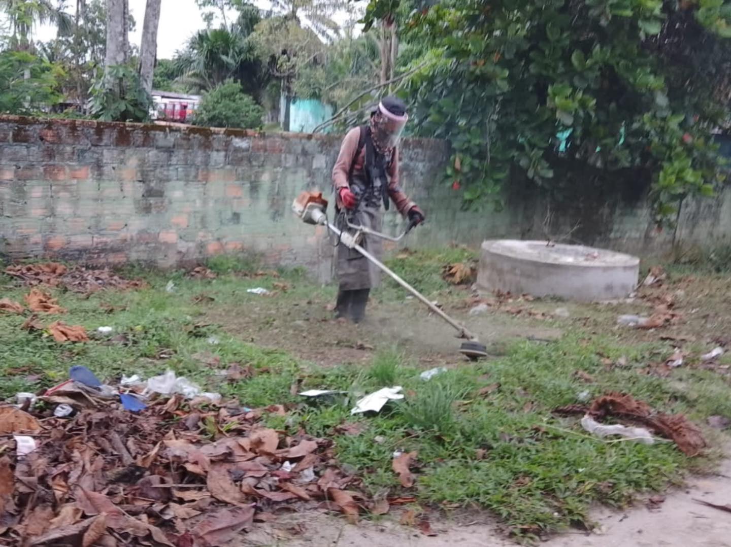 Limpieza de áreas verdes y poda de árboles en la Avenida Quiñones