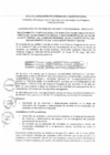 Vista preliminar de documento Proceso de Selección N°002-2024-CE-OXI-GORE-ICA - ACTA DE ABSOLUCION DE CONSULTAS Y OBSERVACIONES - EJECUCION