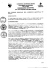 Vista preliminar de documento PDRC-2013