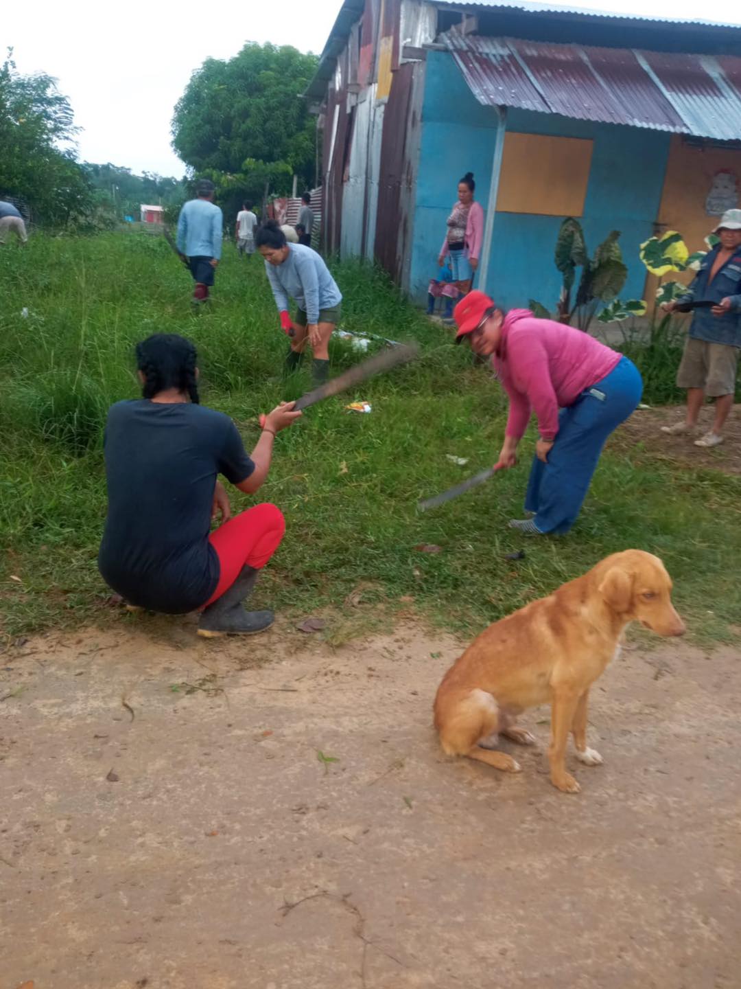 Limpieza en Cabo López sector N. 
