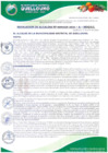 Vista preliminar de documento RESOLUCION-ALCALDIA-0142A-2024-A-MDQ-LC