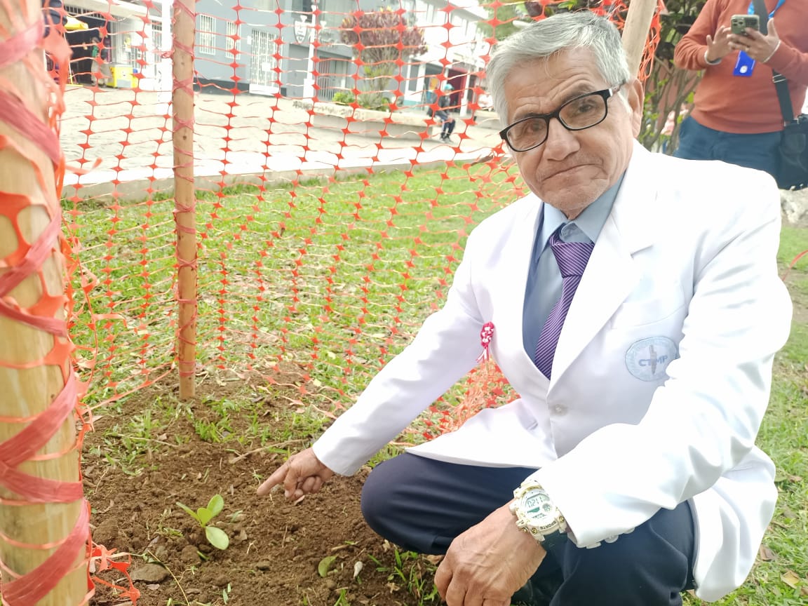 Promueven el cultivo del árbol de la Quina en Trujillo