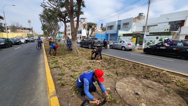 Limpian focos infecciosos y recuperan áreas verdes de Trujillo